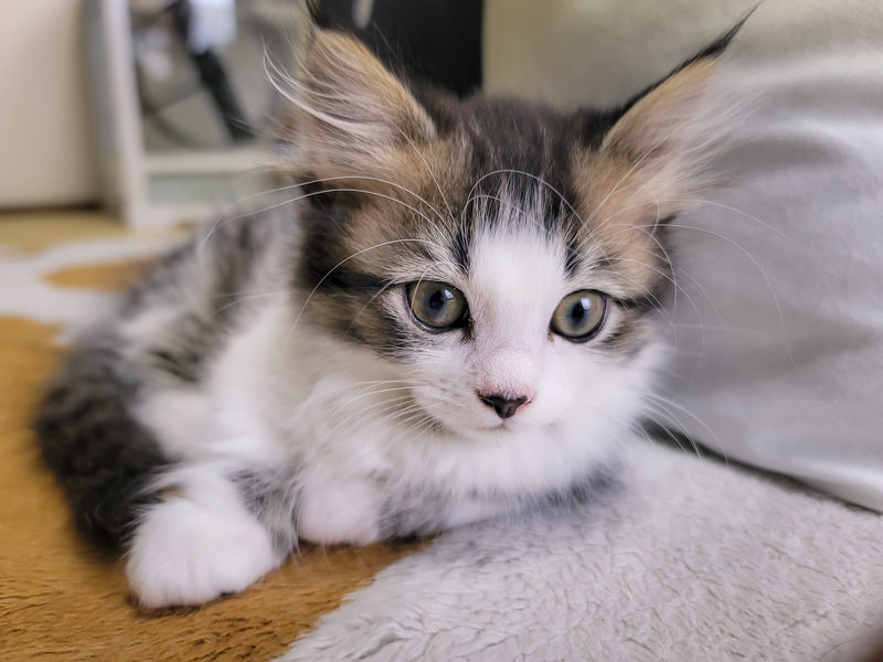 「頼れる人」を見つける意味