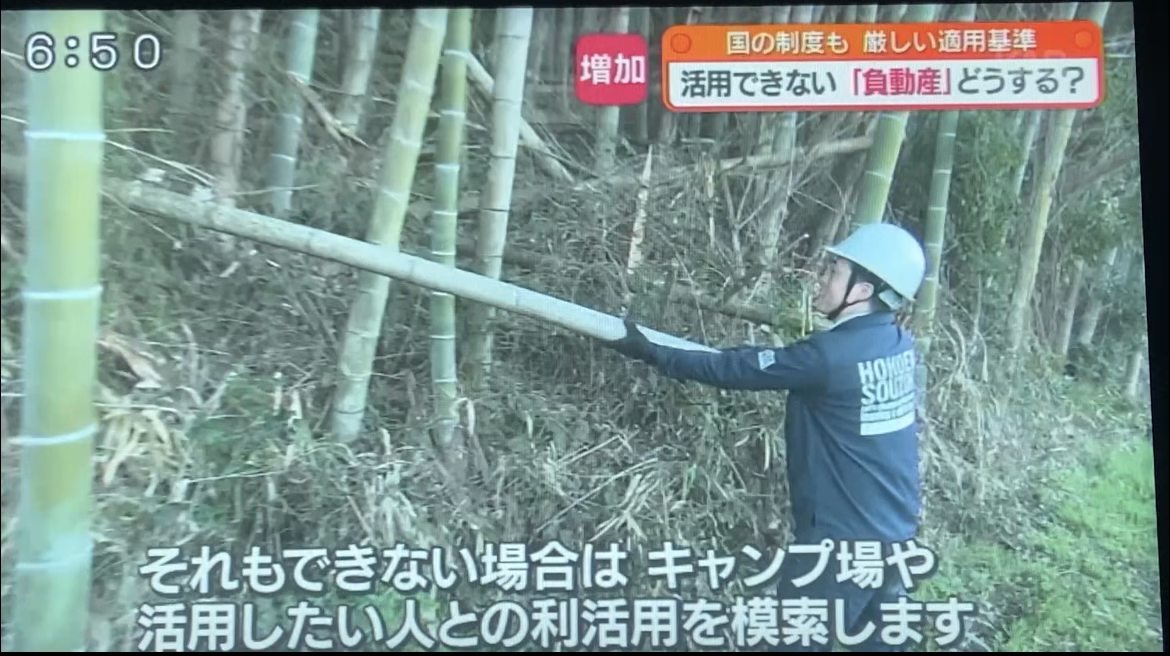 なぜ山林を引き取るのか